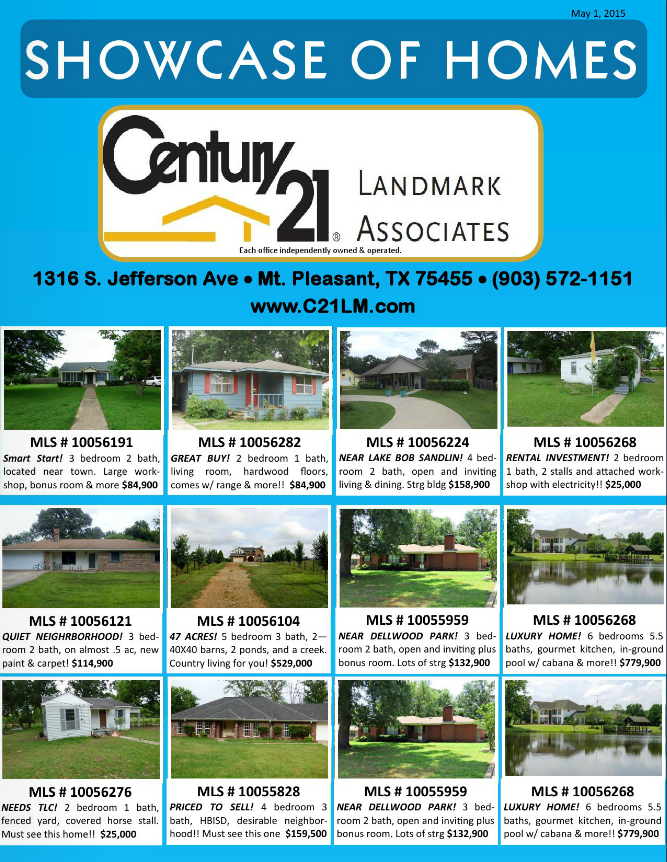 real estate flyer example